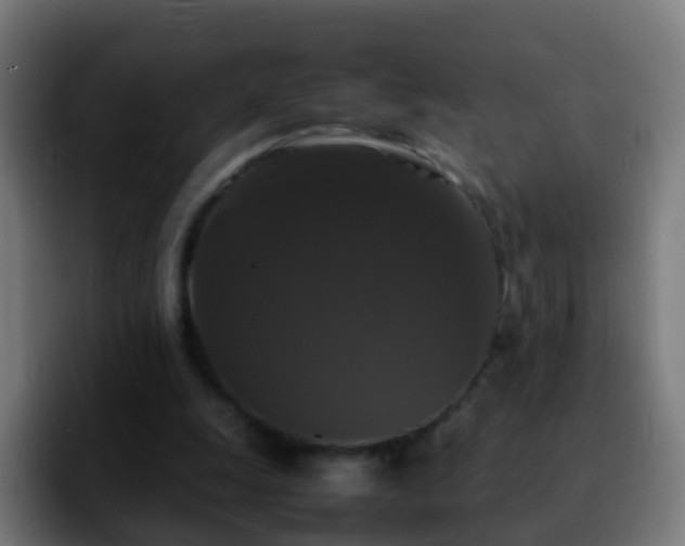 X0000092250247200709211106