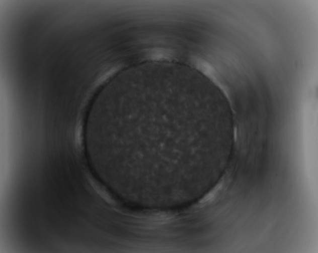 X0000092250249200709211106