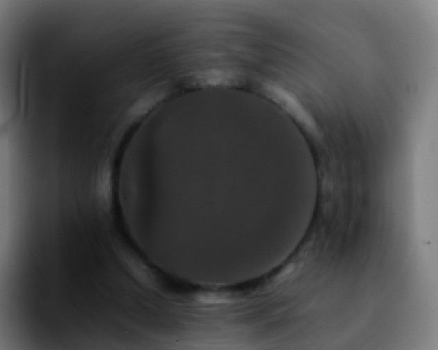 X0000092250250200709211106