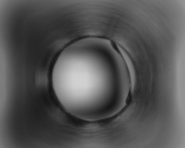 X0000092250252200709211106