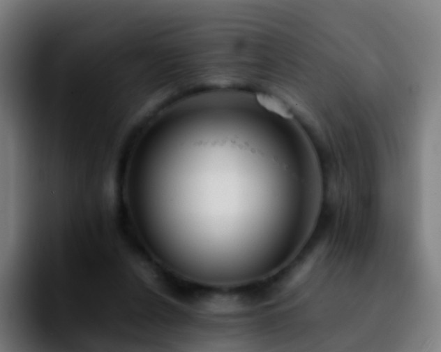 X0000092250256200709211106