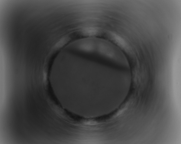 X0000092250258200709211106