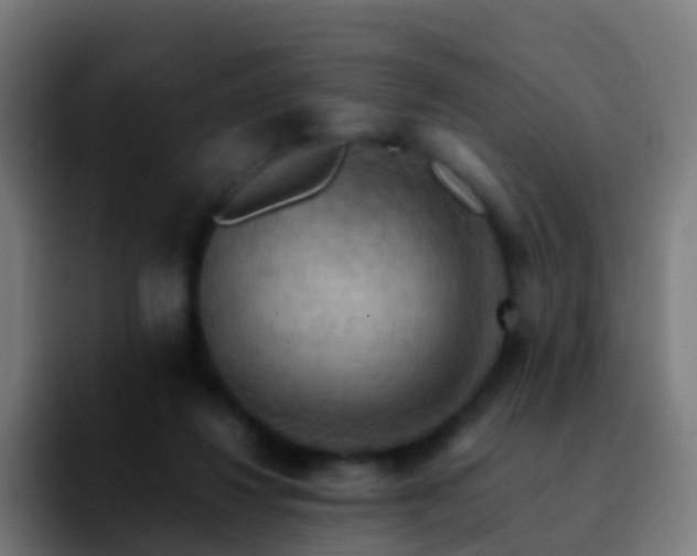 X0000092250260200709211106