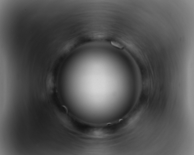 X0000092250264200709211106