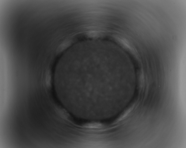 X0000092250266200709211106