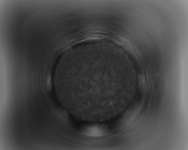 X0000092250267200709211106