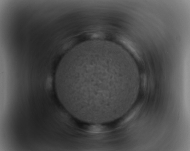 X0000092250269200709211106