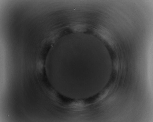 X0000092250271200709211107