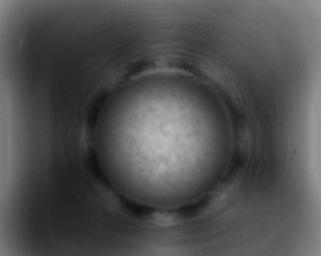 X0000092250272200709211107