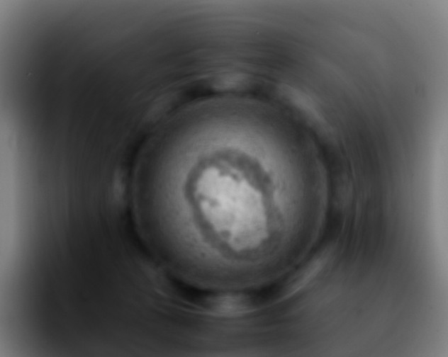 X0000092250273200709211107