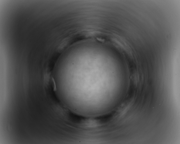 X0000092250276200709211107