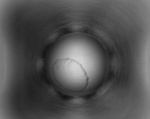 X0000092250278200709211107