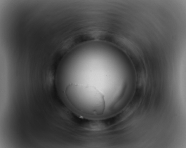 X0000092250279200709211107