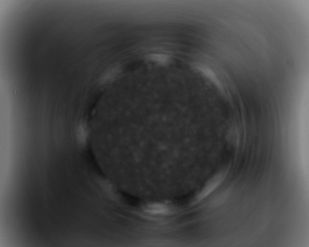 X0000092250285200709211107