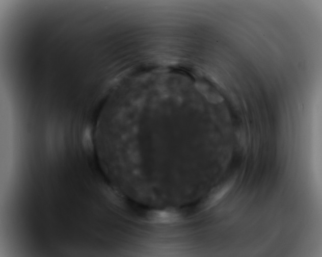 X0000092250286200709211107