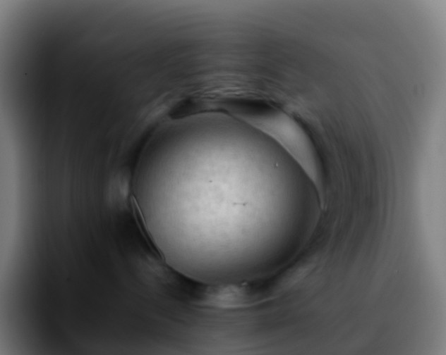 X0000092250288200709211107