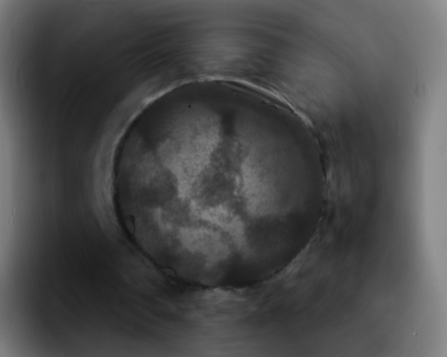 X0000092250290200709211106