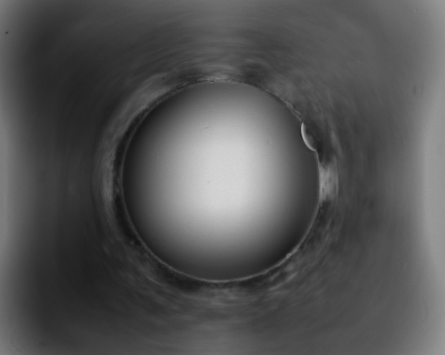 X0000092250291200709211106