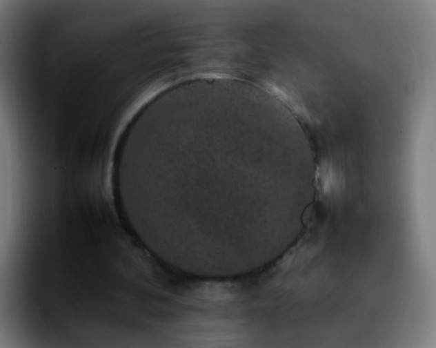 X0000092250292200709211106