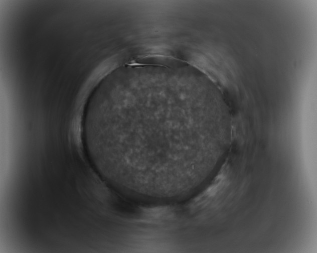 X0000092250293200709211106