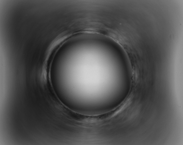 X0000092250294200709211106