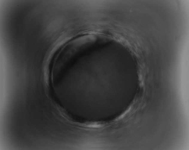 X0000092250295200709211106