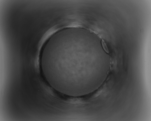 X0000092250296200709211106