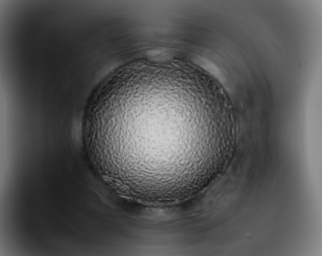 X0000092250297200709211106