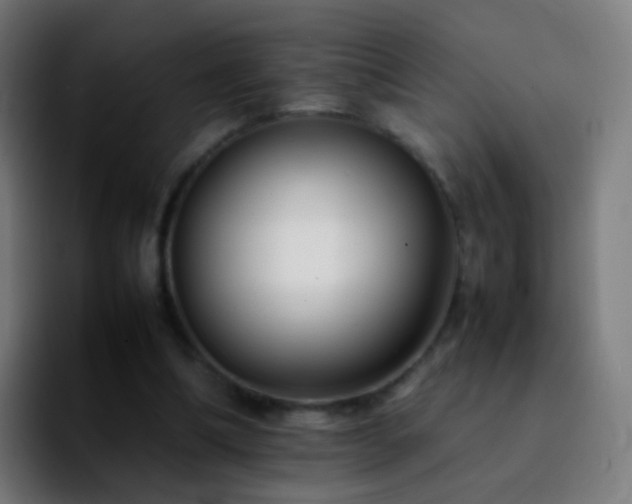 X0000092250298200709211106