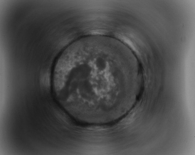 X0000092250299200709211106