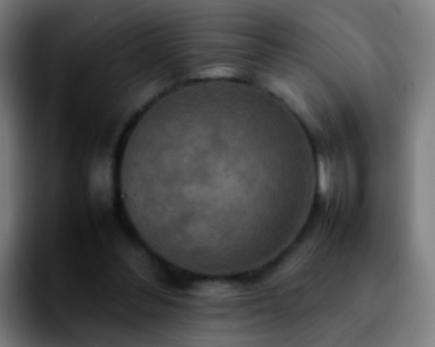 X0000092250300200709211106