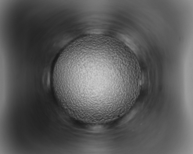 X0000092250301200709211106