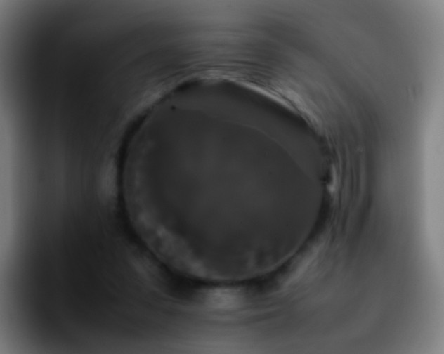 X0000092250303200709211106