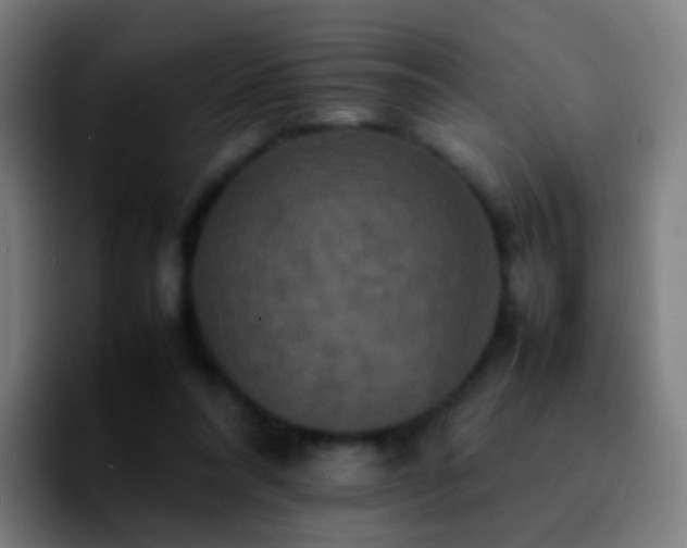 X0000092250304200709211106