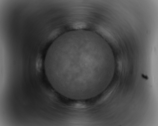 X0000092250308200709211106