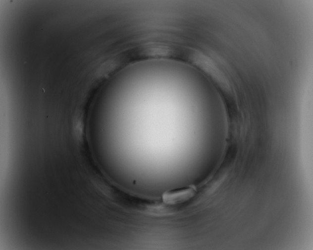 X0000092250309200709211106