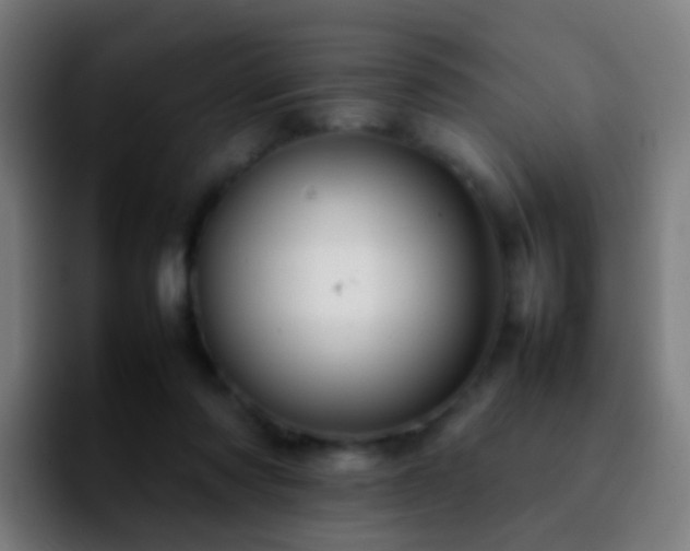 X0000092250310200709211106