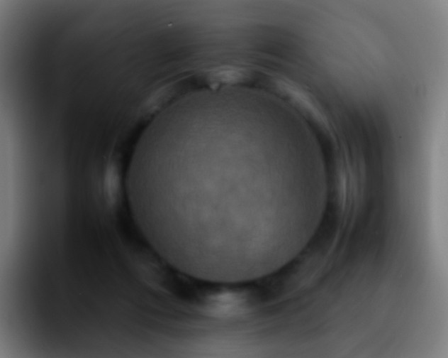 X0000092250312200709211106