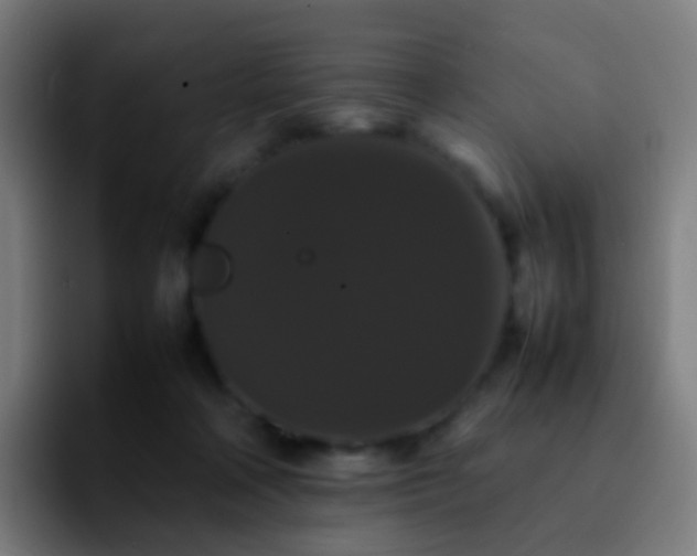 X0000092250314200709211106