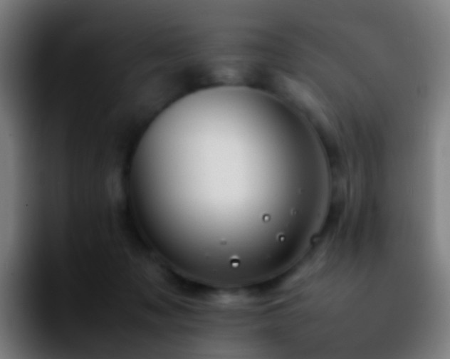 X0000092250317200709211106