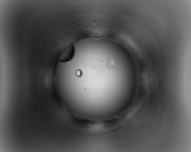 X0000092250318200709211106