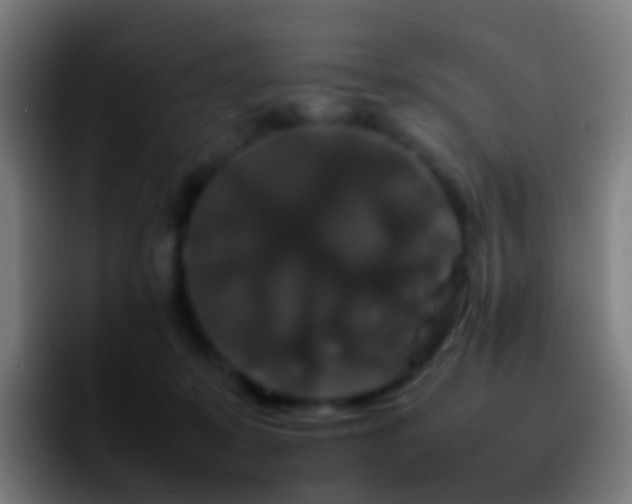 X0000092250319200709211106