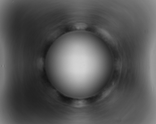 X0000092250321200709211106