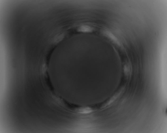 X0000092250322200709211106