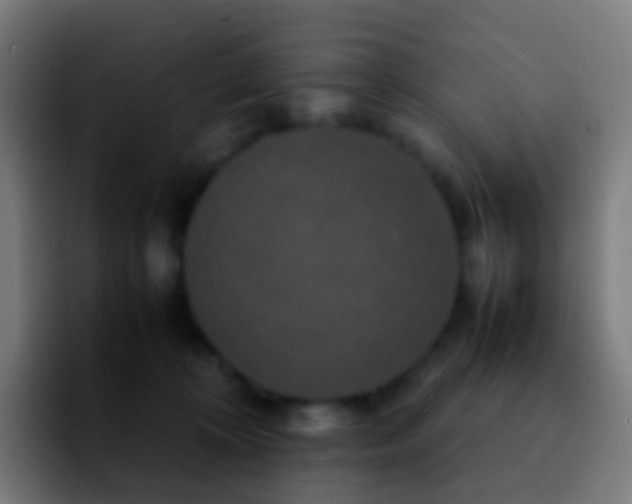 X0000092250324200709211106