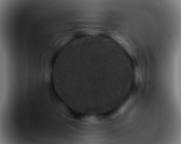 X0000092250325200709211106