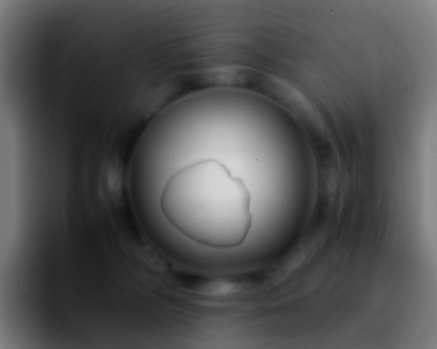 X0000092250326200709211106