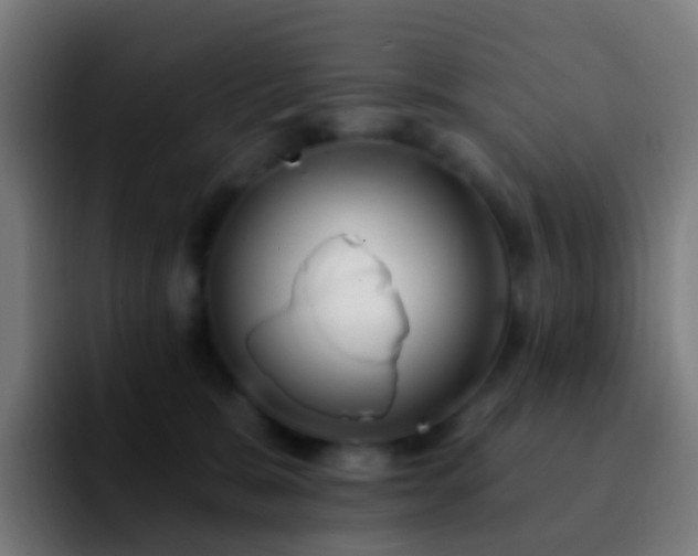 X0000092250327200709211106