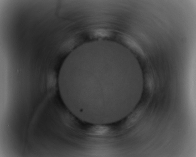 X0000092250328200709211106