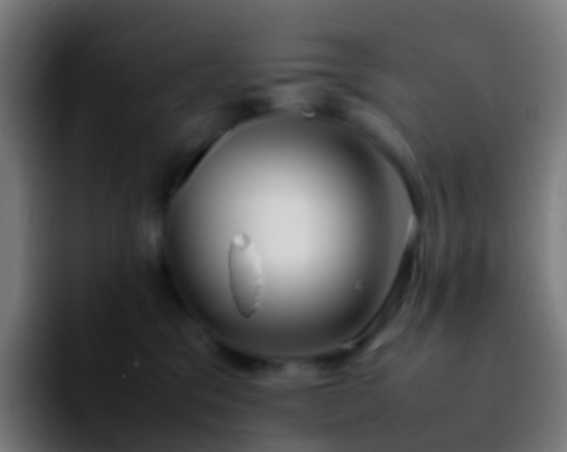 X0000092250329200709211106